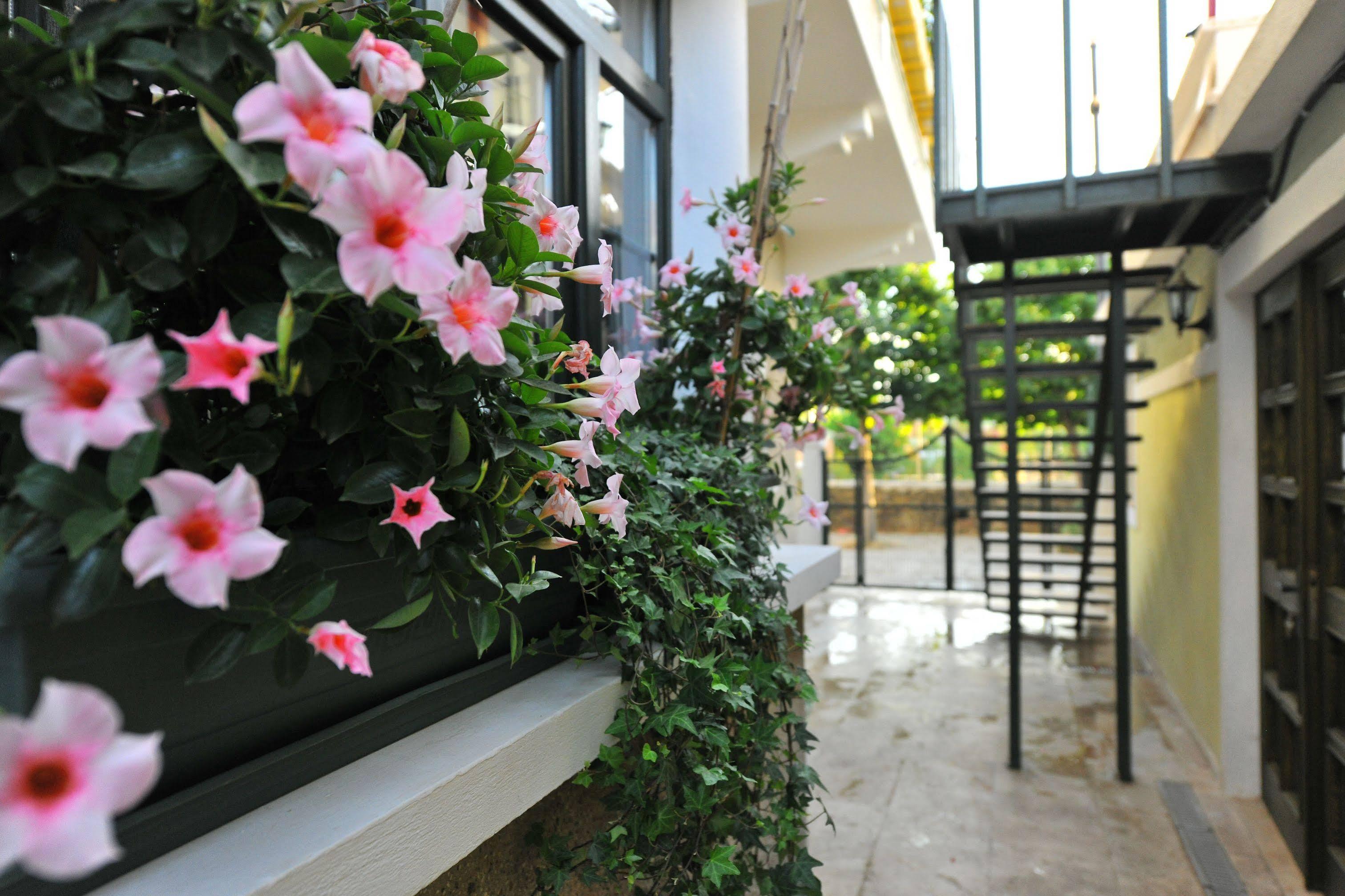 Petrino Goekceada Hotel&Kitchen İmroz Exteriér fotografie